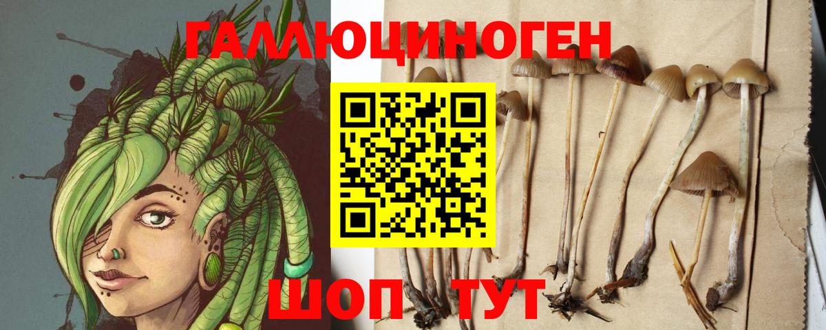 Галлюциногенные грибы мухоморы Славгород