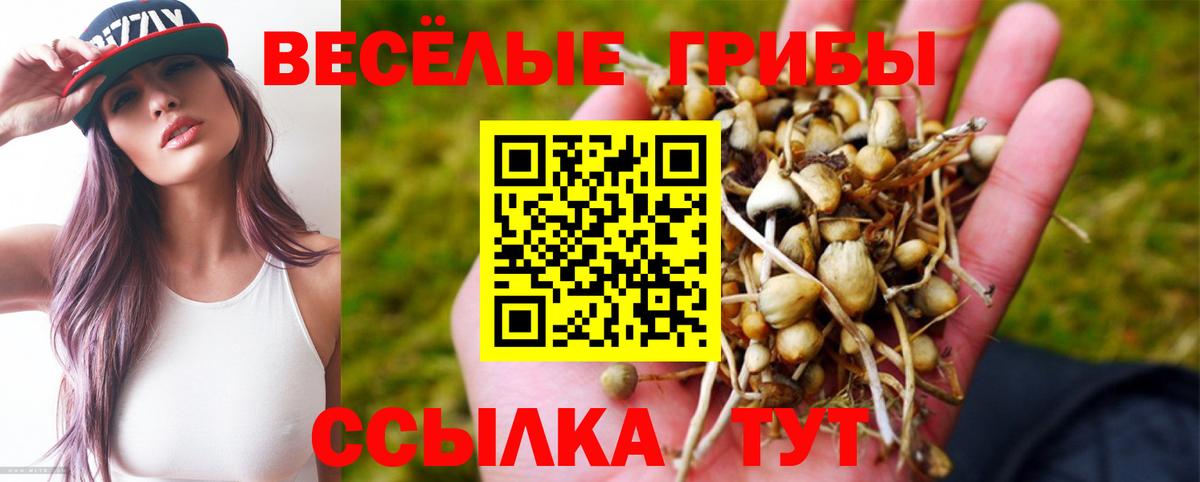 Славгород  Галлюциногенные грибы GOLDEN TEACHER  Вход с VPN 